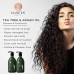 Luseta Tea Tree Oil Shampoo 33.8oz- Natural Anti Dandruff Treatment for Dry and Damaged Hair, Sulfate Free & Sa